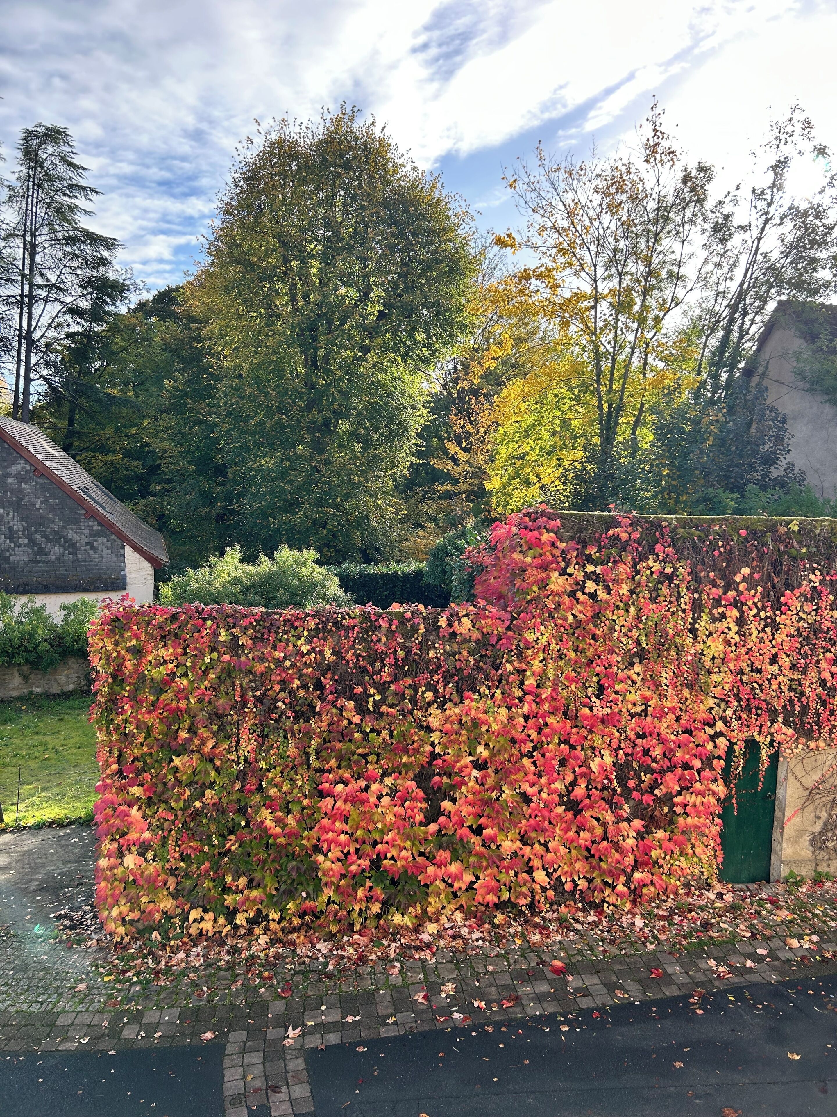 Enceinte de l’hébergement