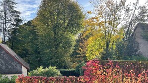 A garden with a hedge covered in autumn leaves, a brick wall, and a building in the background. - Luxury apartment with parking, river and forest views, 5 min. from the center! (La Châtre)