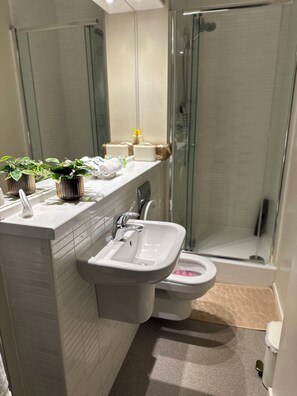 Ducha, secador de pelo, toallas y papel higiénico