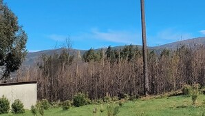 Un paisaje rural con cielo despejado, un árbol alto y un edificio en primer plano.