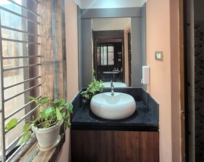 Ducha, secador de pelo, bidé y toallas