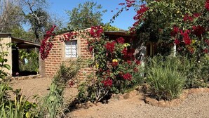 Una casa de ladrillo rústica con camino de grava, rodeada de plantas y árboles.