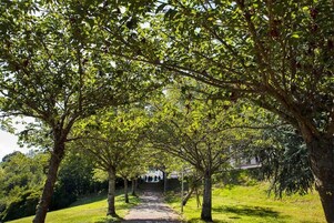 Un sendero bordeado de árboles en un parque.
