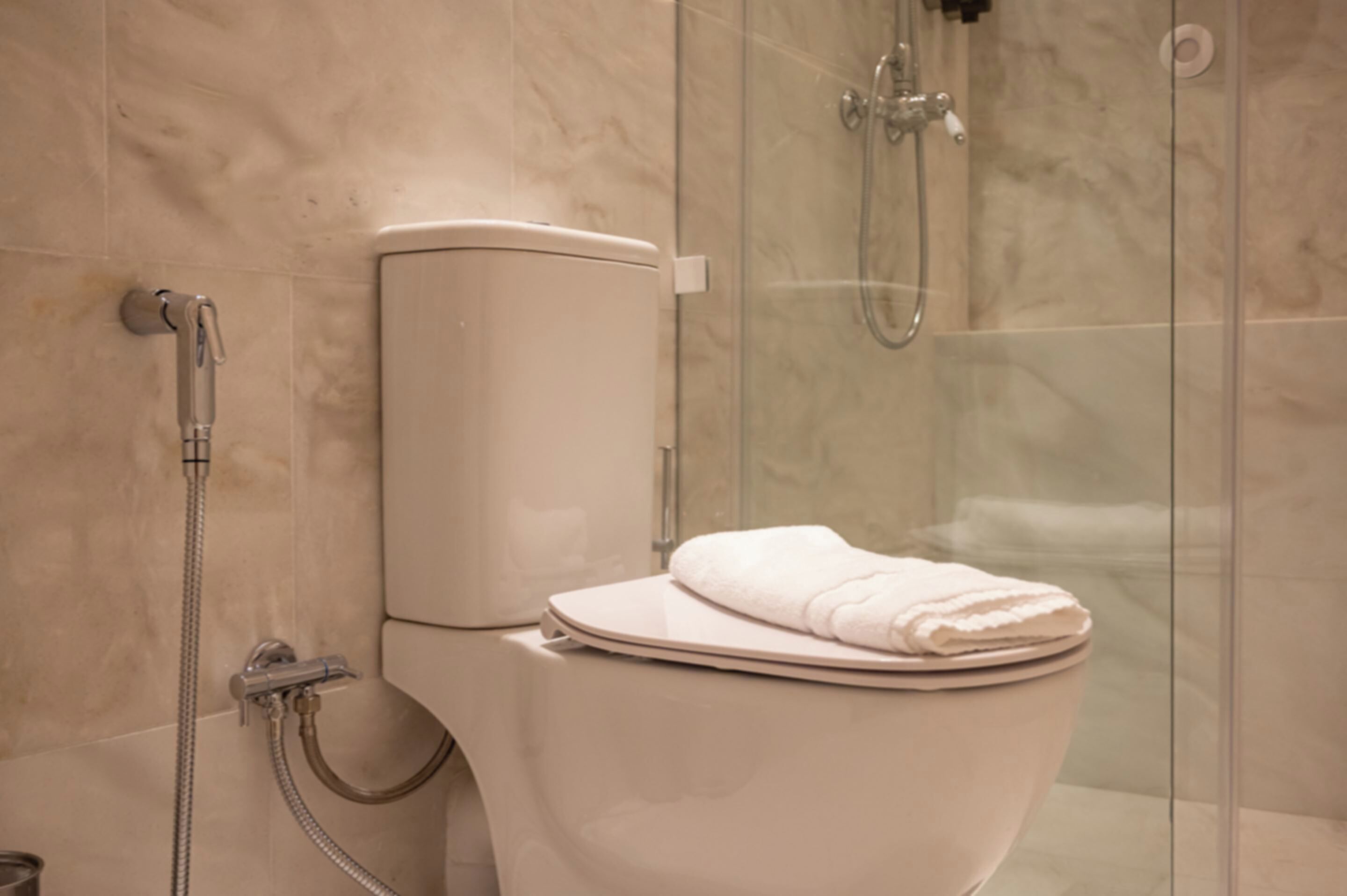 Un baño moderno con inodoro, ducha y zona de ducha con paredes de vidrio.
