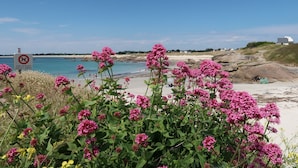 A beach with pink flowers in the foreground, a sign indicating no parking, and a clear blue sky. - Architect-designed villa near the beach Trévignon -South Brittany -France (Trégunc)