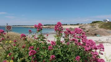 Une plage avec des fleurs roses au premier plan, un panneau indiquant qu’il est interdit de se garer, et un ciel bleu dégagé.