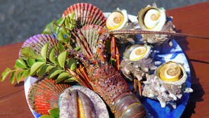 A lobster with shells and a plate of food.