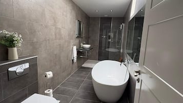 Hair dryer, towels, soap, toilet paper