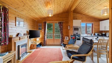 Una televisión, una chimenea, libros