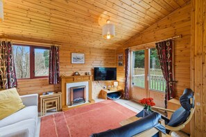 TV, fireplace, books