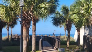 Een pad dat naar een strand leidt, met palmbomen en een bord waarop staat 'GEEN DIEREN TOEGELATEN'.