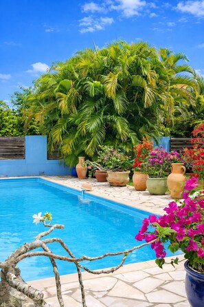 Pool - Ideally Located Villa in Ducos – Between the South and the Center, with a Private Pool (Ducos)