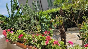 Um jardim com vasos de plantas e um caminho de pedra.