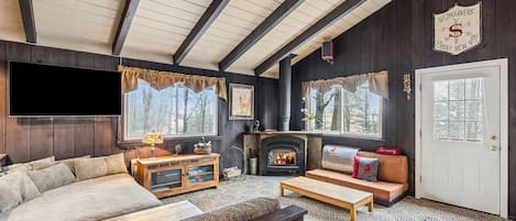 TV, fireplace, books