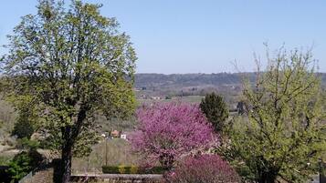 Deluxe-Doppelzimmer, Hügelblick | Verschiedenes