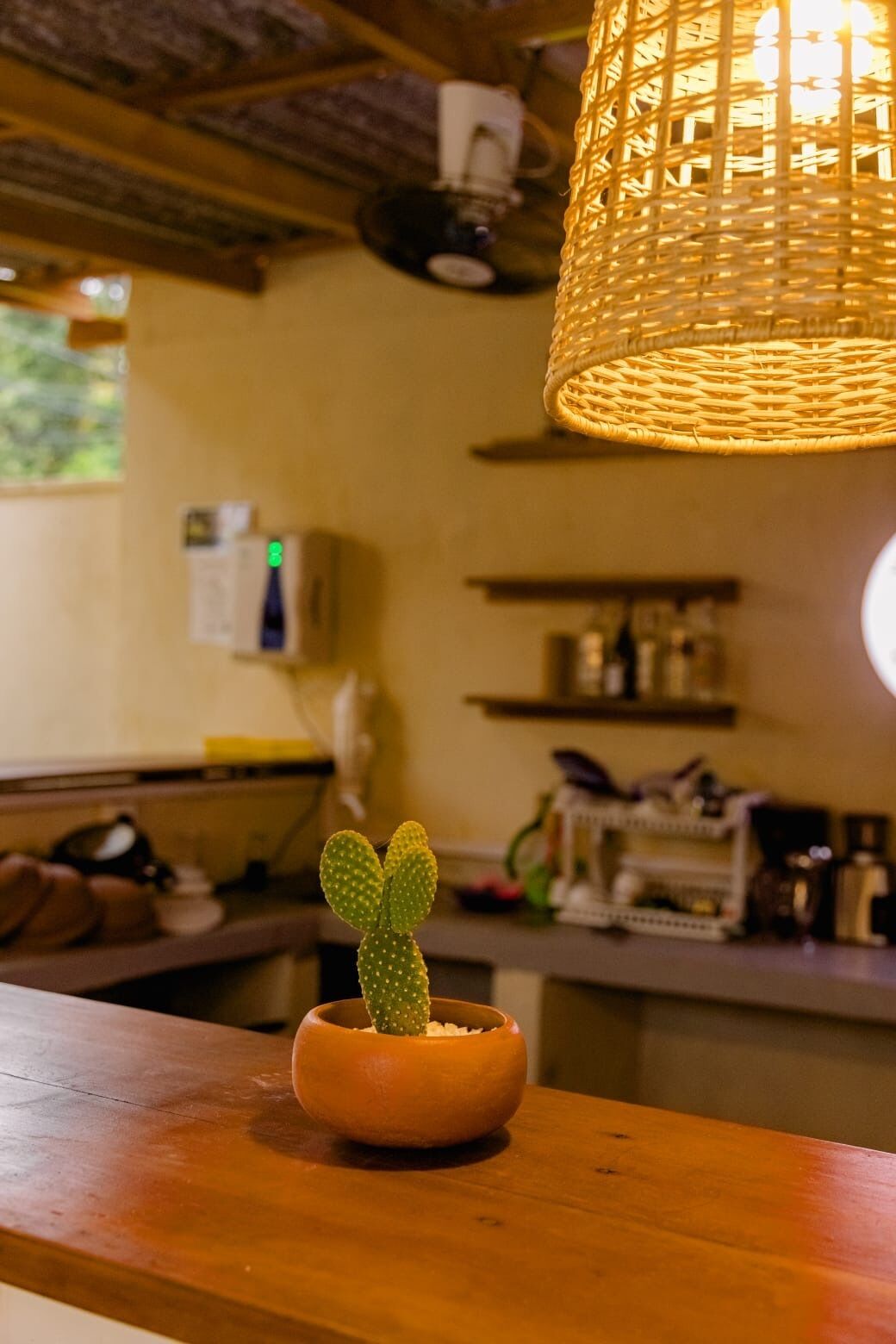A cactus in a bowl on a wooden counter, a woven light fixture above, and kitchen shelves in the background.