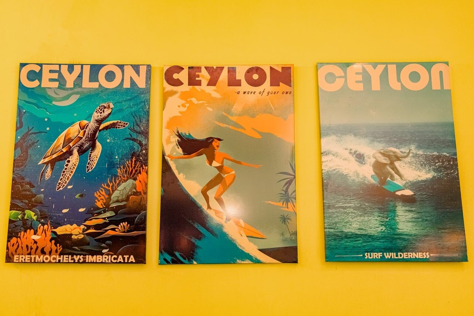 Drei Buchumschläge mit dem Titel 'CEYLON', jeweils mit unterschiedlichen Illustrationen.