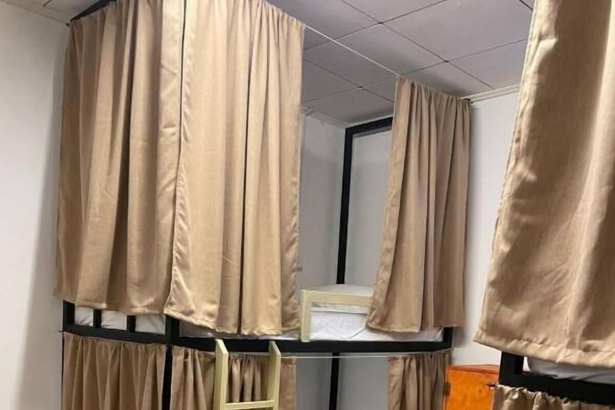 A bunk bed with curtains, a ladder, and a small cabinet.