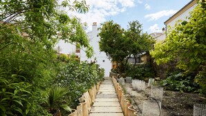 A stone pathway flanked by greenery and wire mesh structures, leading to a white building with a chimney. - Casa Emilia: Rural Retreat with Private Terrace, Garden, and Wi-Fi (Baeza)