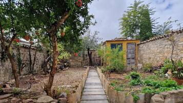 Terrain de l’hébergement