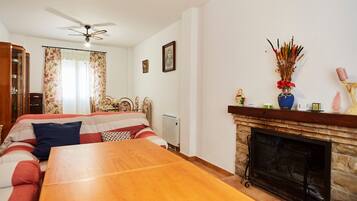 TV, fireplace