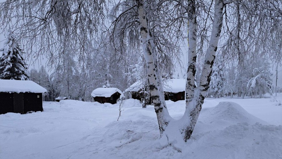 4 Star Holiday Home in Hedenaset