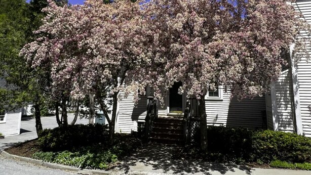 A residential house with a porch, a driveway, and a well-maintained lawn.