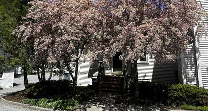 Artist Studio - 1BR Condo in Stowe Village Historic District