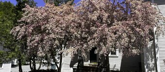 Artist Studio - 1BR Condo in Stowe Village Historic District