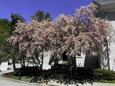 Artist Studio - 1BR Condo in Stowe Village Historic District