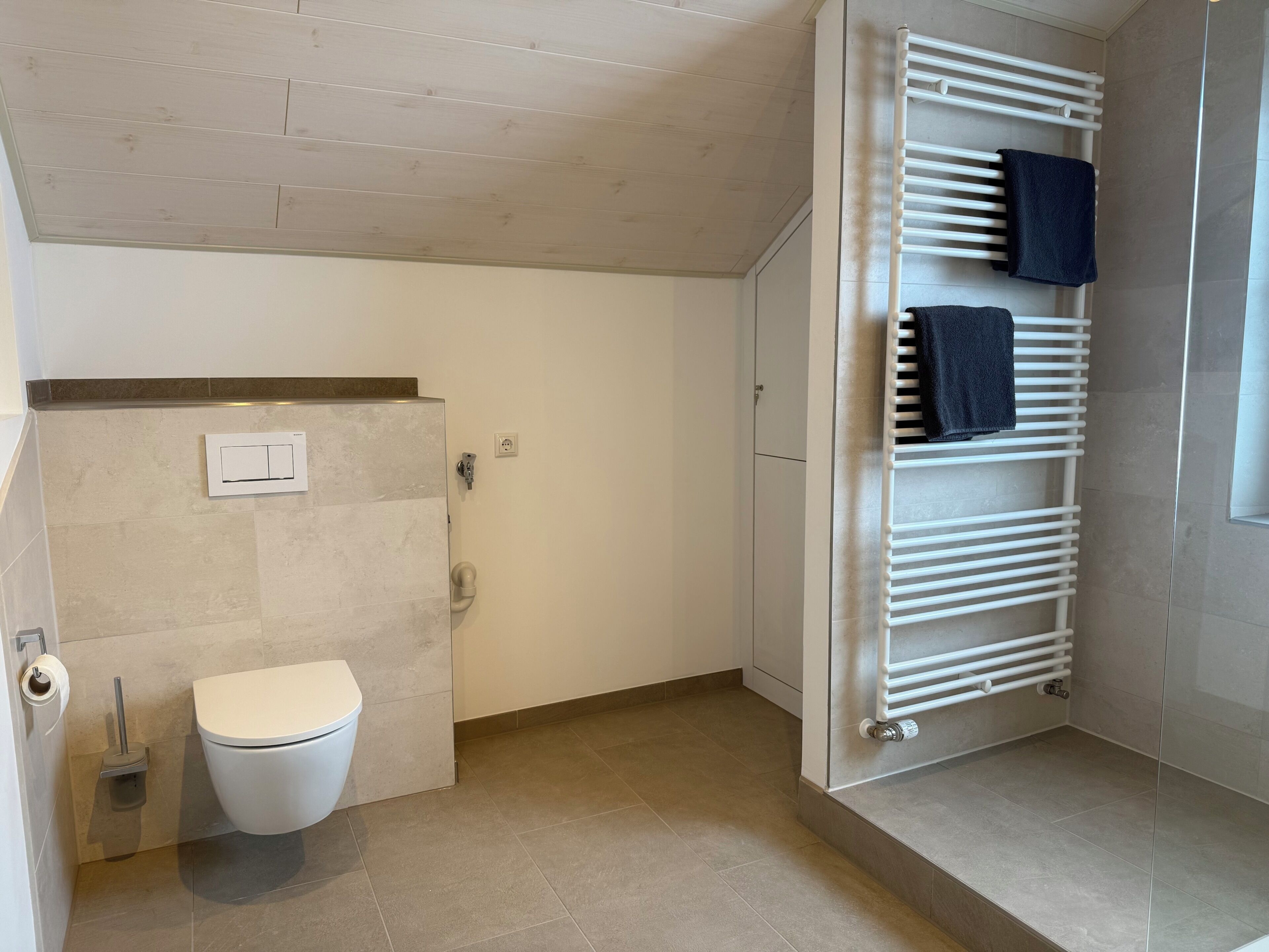 Casa de banho com sanita, um porta-toalhas com toalhas e zona de duche.