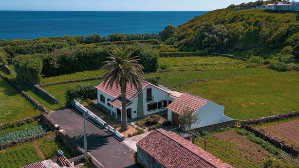 A white building with a red-tiled roof, a palm tree, and a view of the ocean.