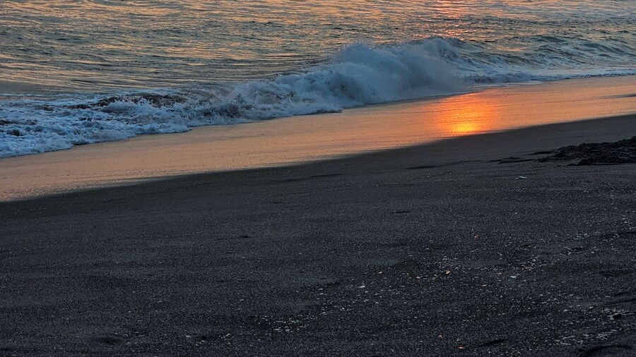 Honey Beach House