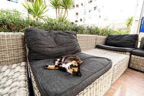 Property grounds - Modern Equipped Studio · Islane Agadir w/ Pool (Agadir)