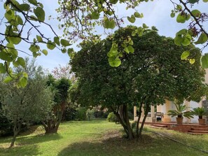 Property grounds - Garden house, 5 mins from Sanary Port (Sanary-sur-Mer)