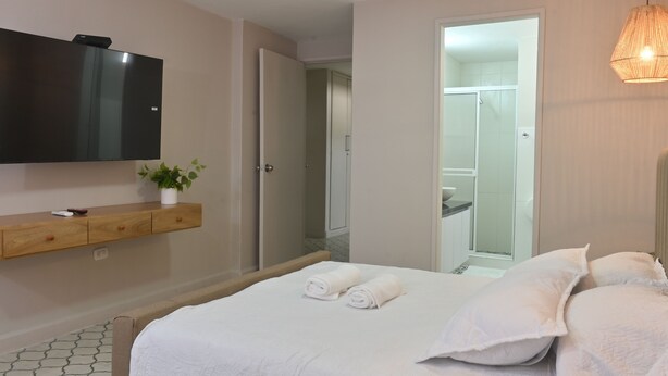 Una habitación de hotel moderna con una cama, un televisor montado en la pared, un estante de madera con una planta y un baño visible a través de una puerta abierta.