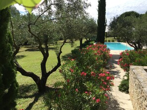 Property grounds - Mas with swimming pool in an olive grove 3km from Uzès (Uzès)
