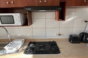 Private kitchen - Spacious apt. 3 bedrooms. Fully equipped downtown Stgo (Santiago)