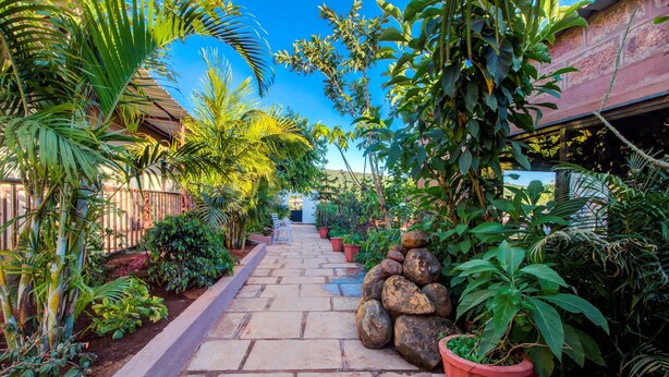 A stone pathway leading to a building, surrounded by lush tropical plants and a clear blue sky.