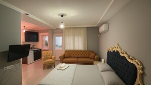 A bedroom with a bed, a sofa, a TV, and a small kitchenette.