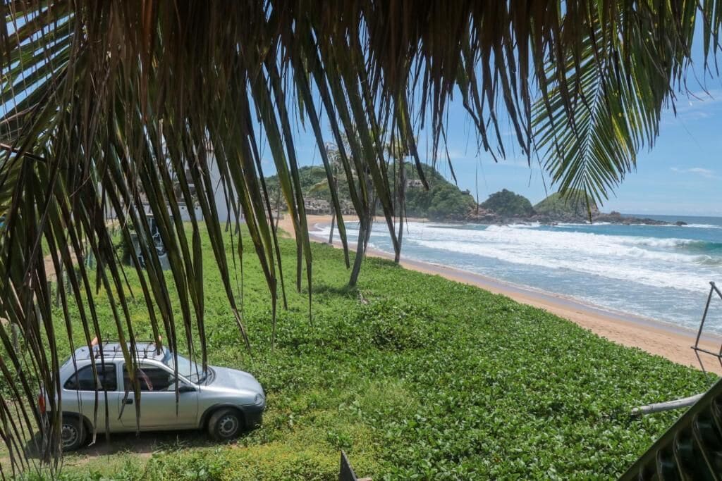 A beach with a car parked on the grass, palm trees, and a view of the ocean.