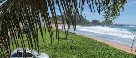 A beach with a car parked on the grass, palm trees, and a view of the ocean.