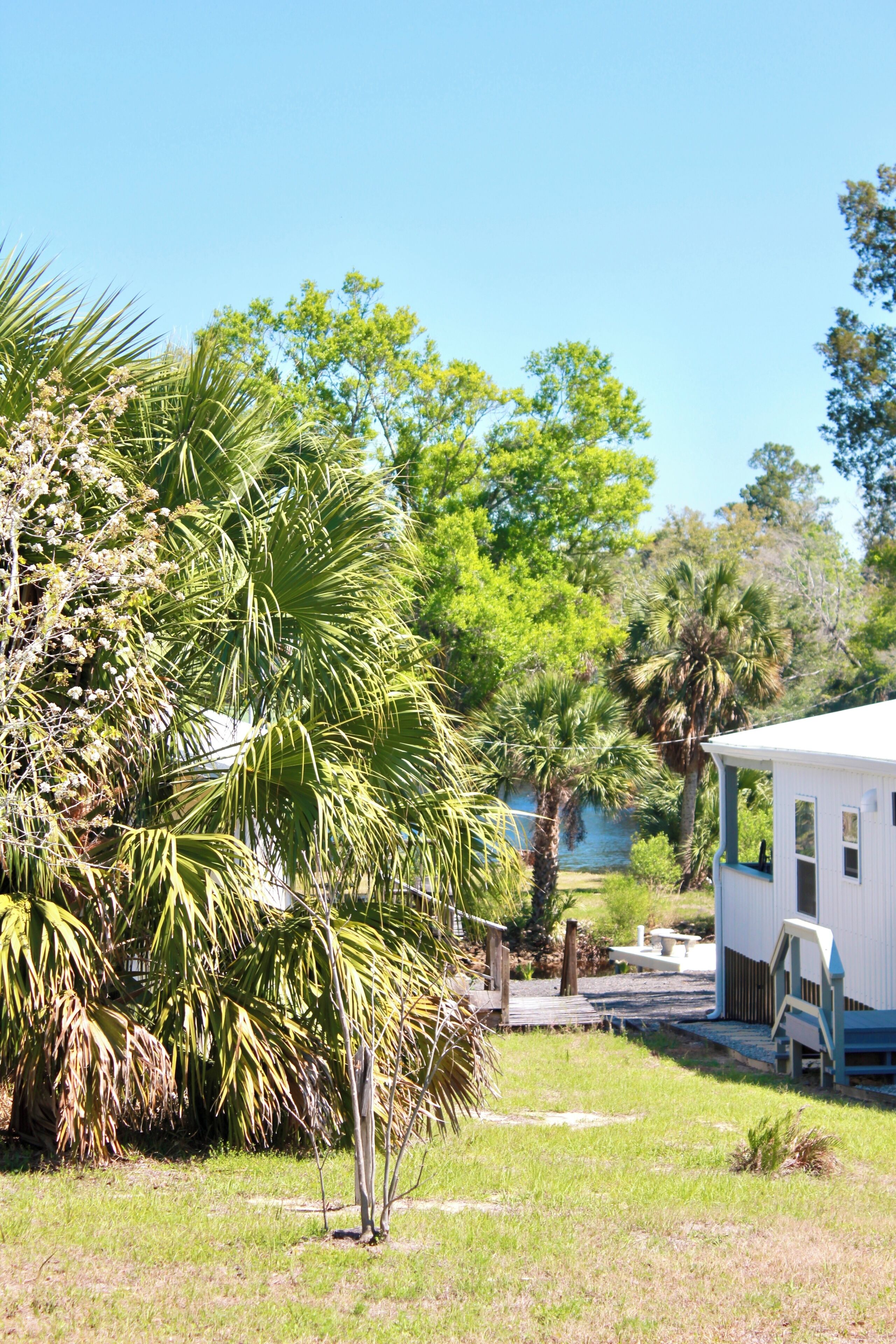 A white mobile home with a porch, surrounded by lush greenery and palm trees.