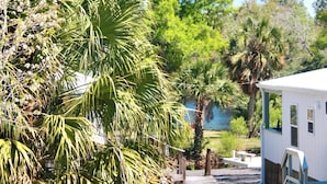 A white mobile home with a porch, surrounded by lush greenery and palm trees. - Cozy Steinhatchee Getaway, Beachy + River Close (Steinhatchee)