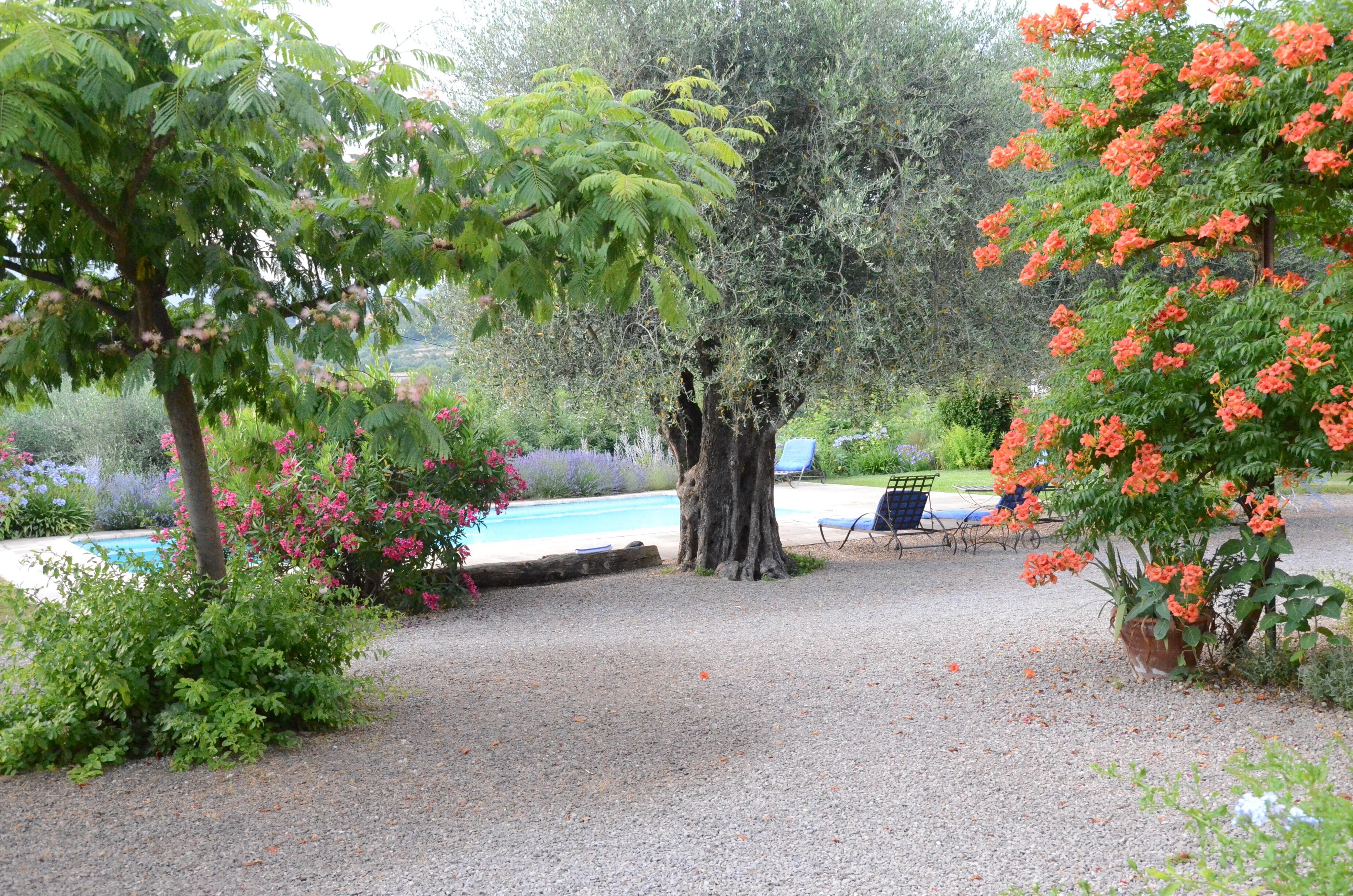 Un espace piscine agrémenté d’un chemin de gravier, d’un arbre et d’une chaise.