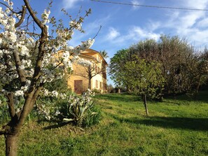 Exterior - Vrbo Property (mouans sartoux)
