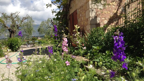 A garden with various flowers and plants, a stone wall, and a view of the landscape. - Near Cannes, authentic Bastide set in a garden planted with century-old olive trees (mouans sartoux)