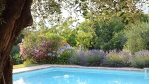 A swimming pool surrounded by lush greenery and flowering plants. - Near Cannes, authentic Bastide set in a garden planted with century-old olive trees (mouans sartoux)