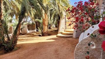 Khuôn viên nơi lưu trú