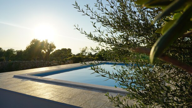 A swimming pool with a stone deck, surrounded by greenery and trees.